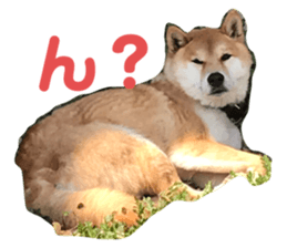 363069695