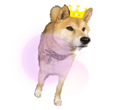 363069699