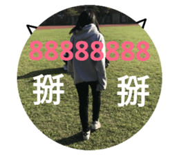 36310215