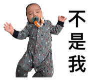 363103025