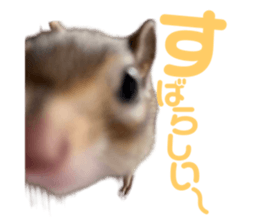 363152888