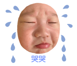 363215849