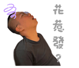 363253842
