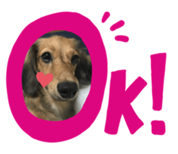 363268219