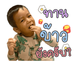 363303838