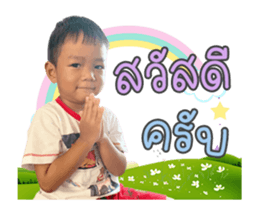 363303843