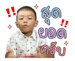 363303844