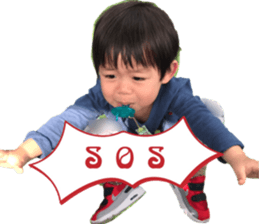 36330691