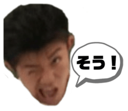 363313419
