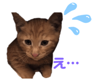 363341957