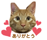 363341960