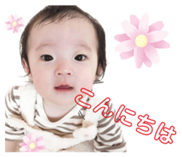 363345325
