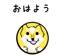 363358912