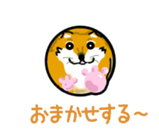 363358914