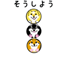 363358915