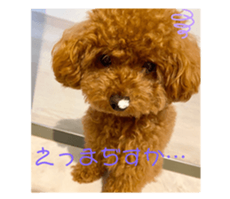 363362426