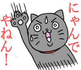 3633753