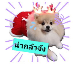 363386613