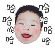 363426564