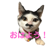 363472231