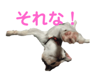 363472233