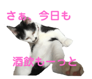 363472234