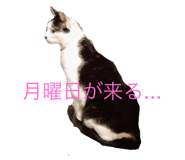 363472235