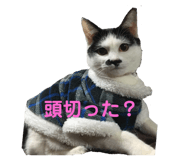 363472236