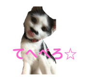 363472239