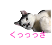 363472244