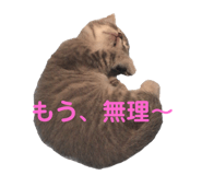 363472246