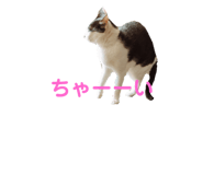 363472247