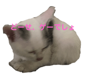 363472248