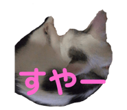 363472252