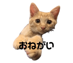 363483616