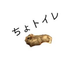 363578518