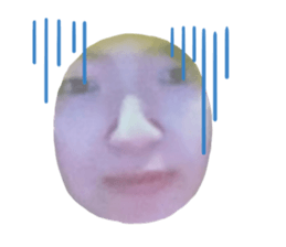 363591627