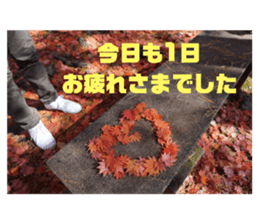 363599408