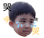 363605916