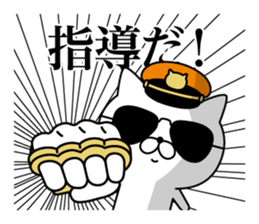 363667635