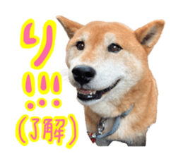 363708910