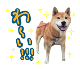 363708932