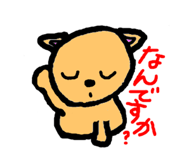 3637325