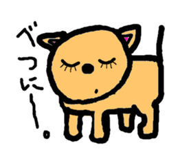 3637329