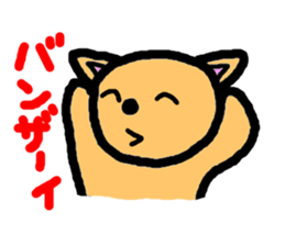 3637337