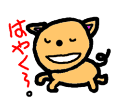3637338