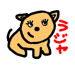 3637353