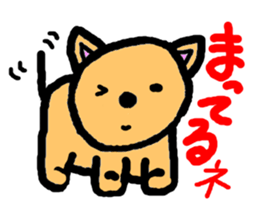 3637355