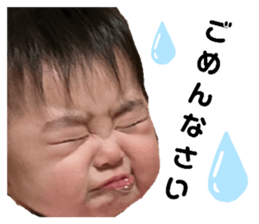 363792033
