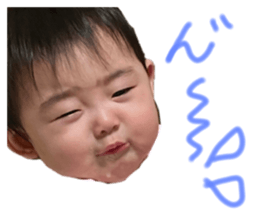 363792036